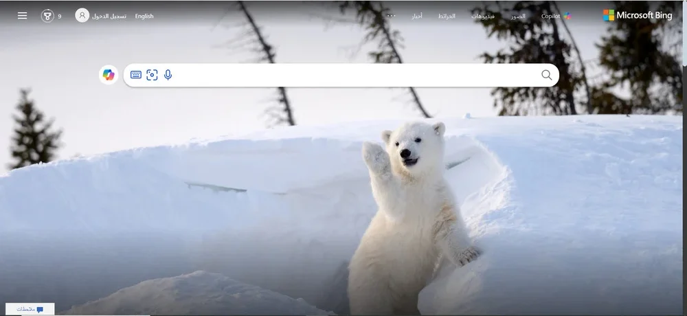 موقع Microsoft Bing 